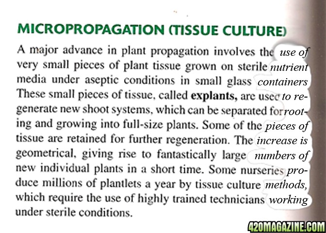 micropropagation_sized_1.jpg