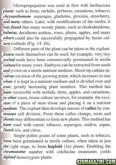 micropropagation_sized_2.jpg