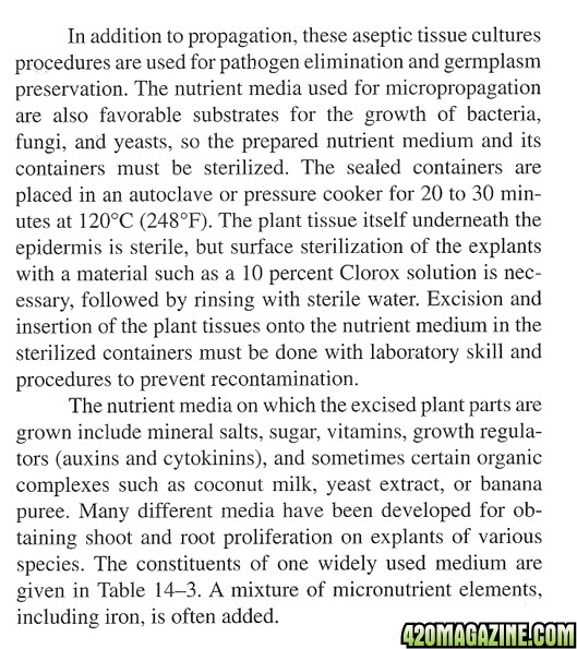 micropropagation_sized_3.jpg