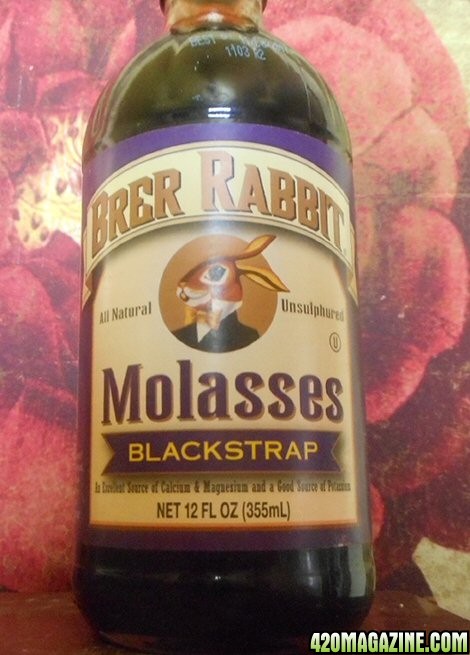 molasses11.jpg