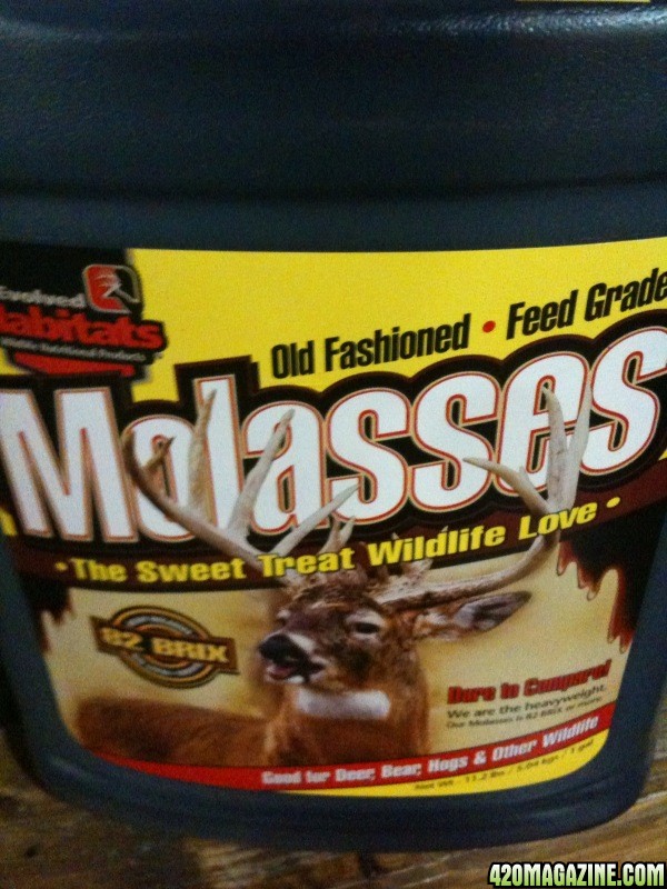 molasses2.jpg