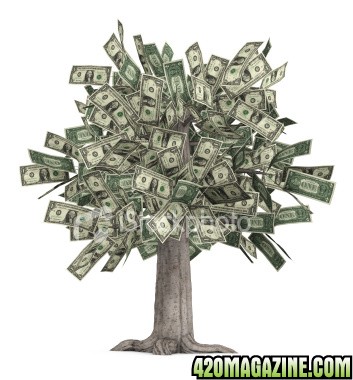 money_tree1.jpg