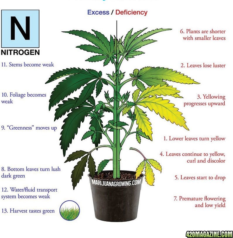 nutrient_chart_N_only.jpg