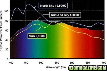 outdoor_daylight-_cfl_comparison.jpg