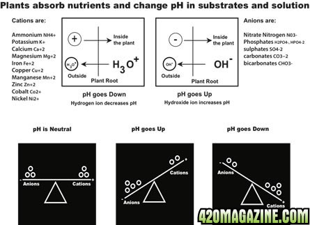 pH-change-image-site.jpg