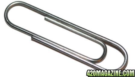 paperclip.jpg