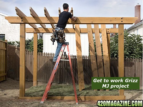 pergola_get_to_work_grizz.jpg