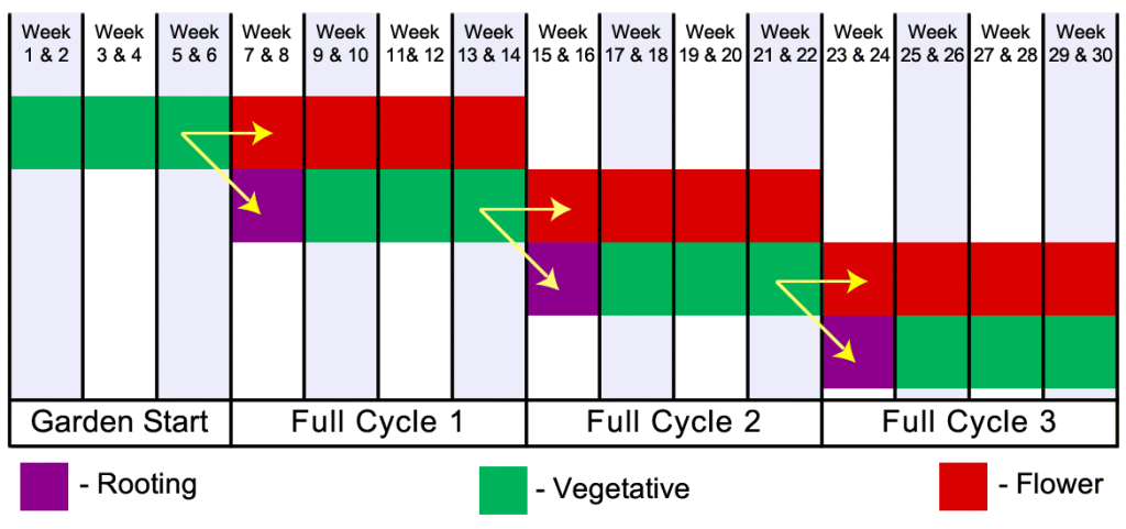 perpetual-garden-flow-diagram-1024x481.gif