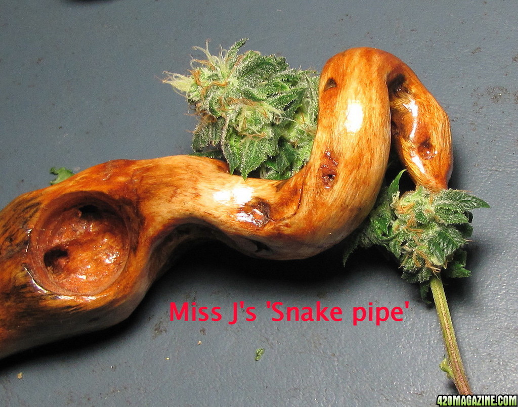 pipe13.jpg