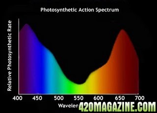 plant_spectrum_intake.jpg