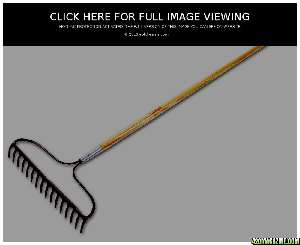 rake_pic.png