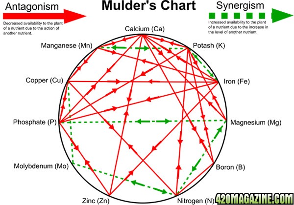 resourcesmulders-chart.jpg