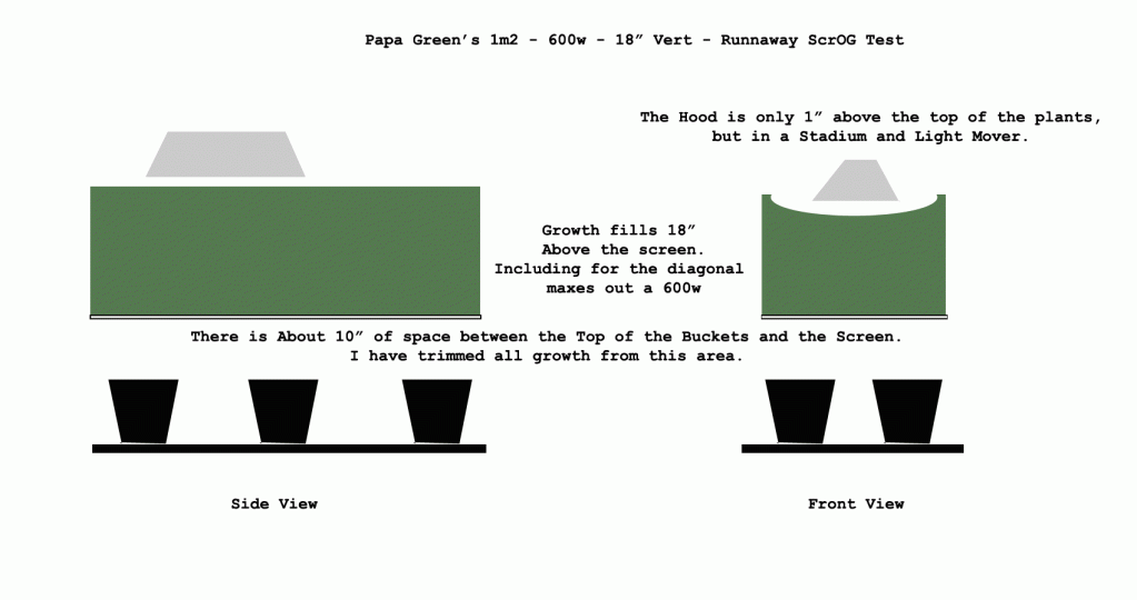 scrog_drawing.gif