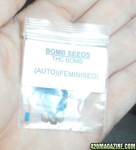 thcbombautoseeds.jpg