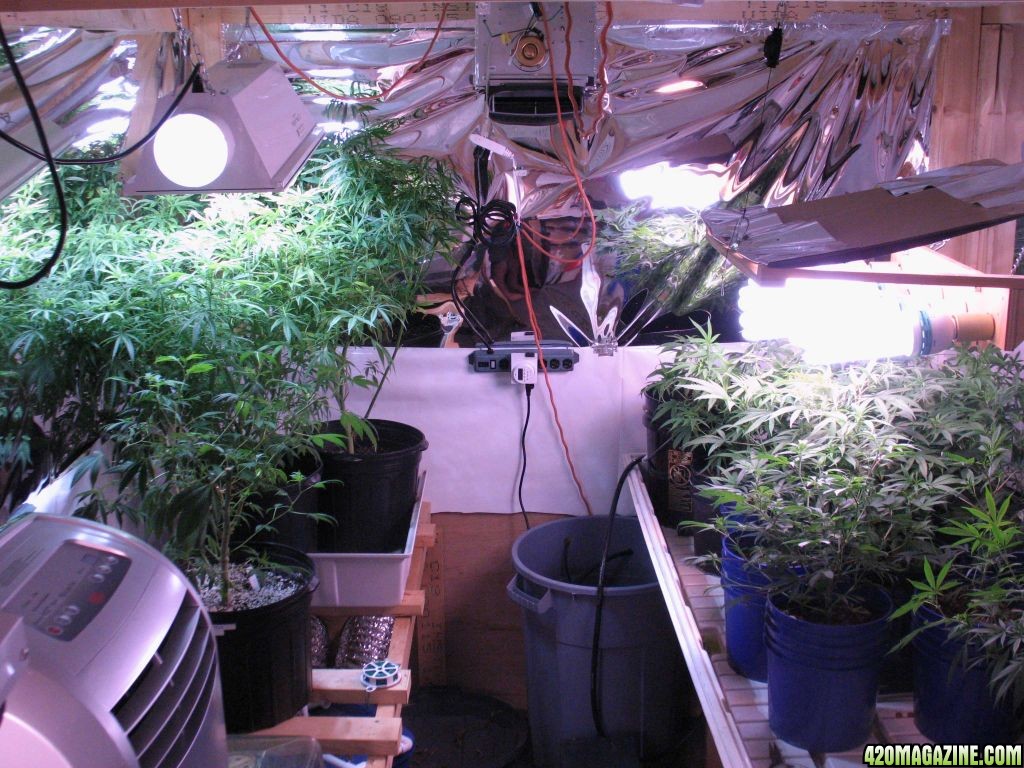 veg_room6.jpg