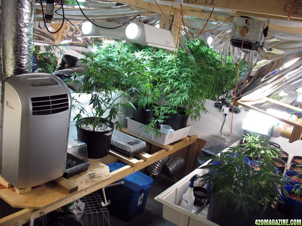 veg_room_w_ac.jpg