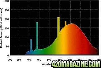 warm_white_deluxe-_cfl_comparison.jpg