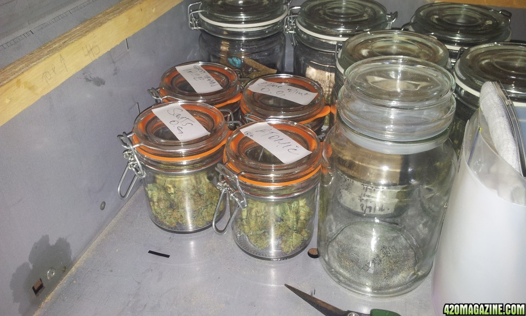 weed_locker_6_.jpg