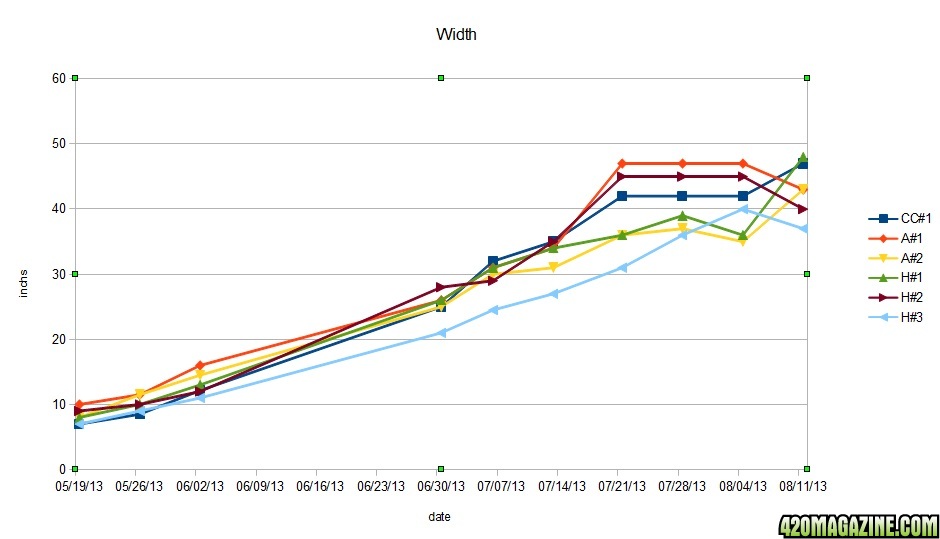 width4.jpg