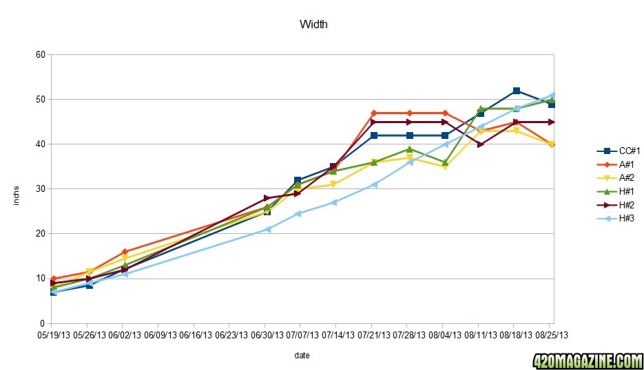 width8.jpg