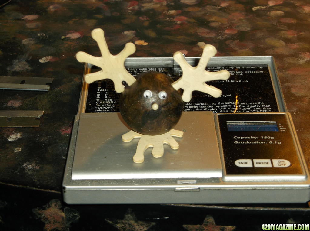 yule_hashish_004.jpg