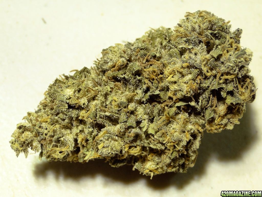 Blue_Thai_Blueberry_x_Chocolate_Thai_.JPG