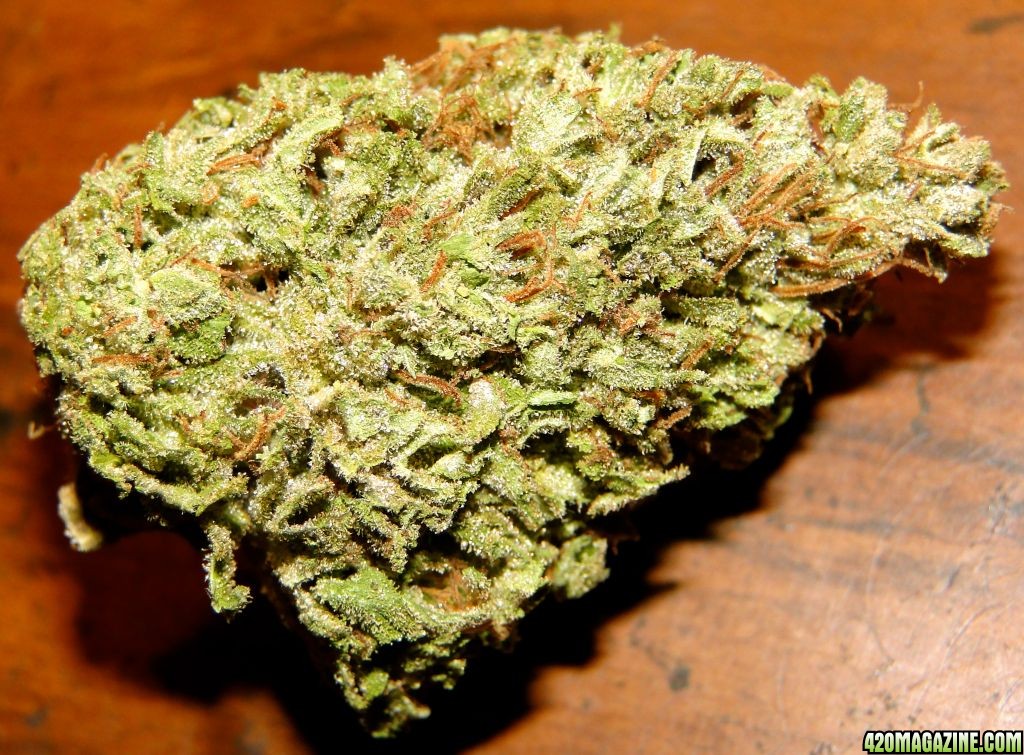 G_D_P_x_AK-47_Bud.JPG