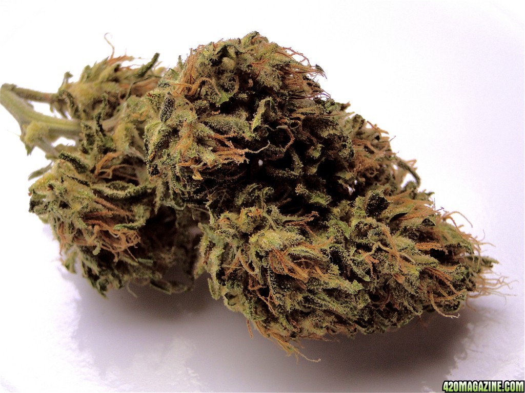 Organic_AK-47_x_Grand_Daddy_Purple1.jpg