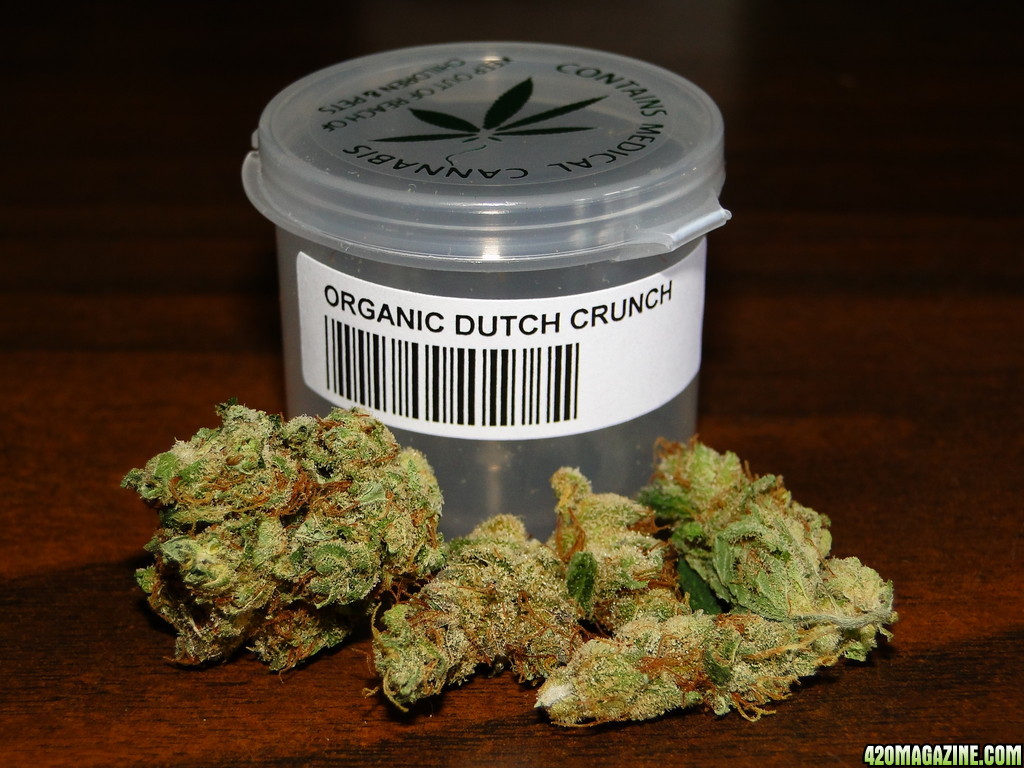 Organic_Dutch_Crunch.JPG