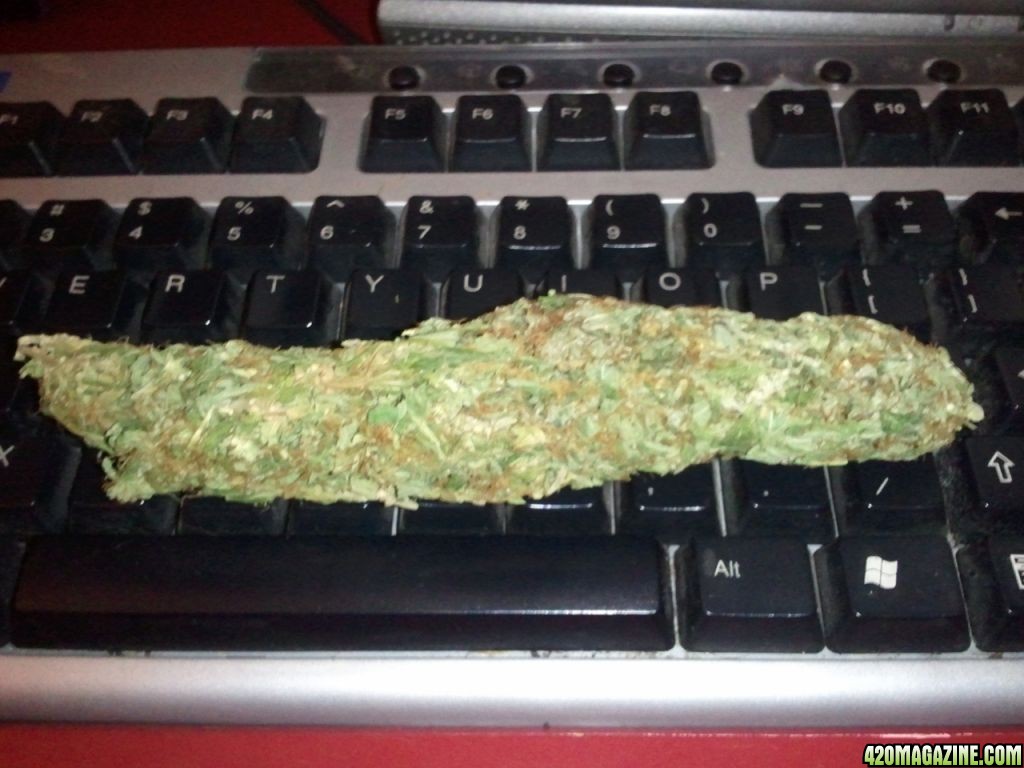 extra_large_nug.jpg