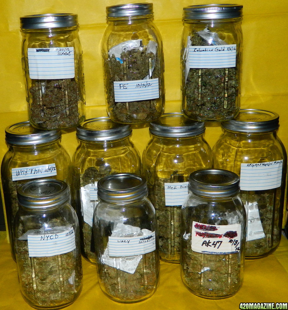 jars13.jpg