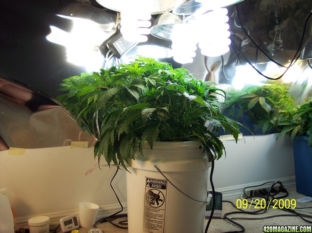 2009_Grow_00317.jpg