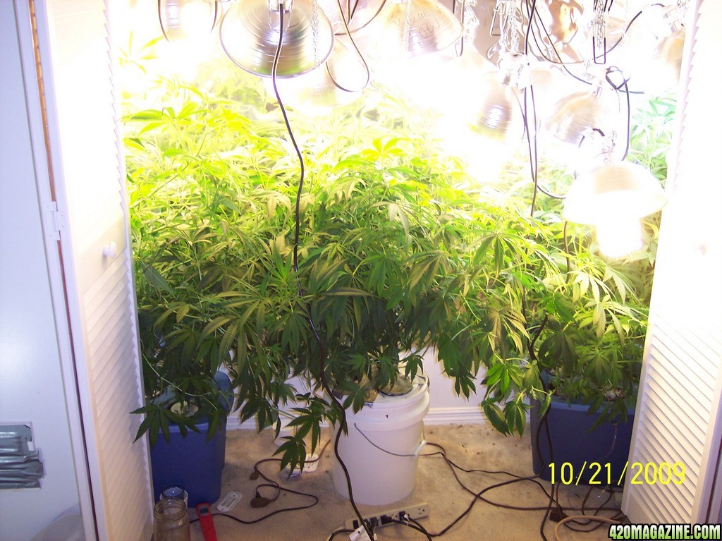 2009_Grow_00419.jpg