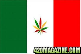 Mexico_colored_cannabis.jpg