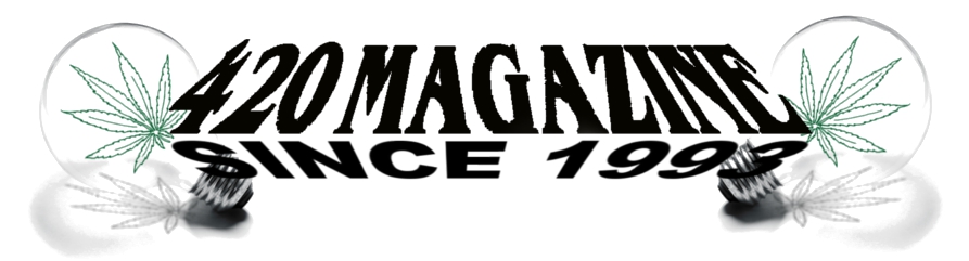 logo24.jpg