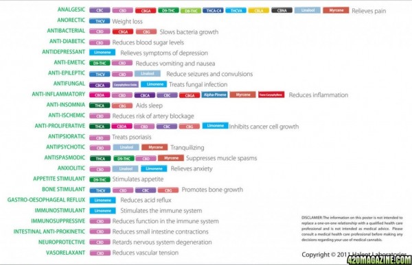 Terpene_Cannabinoid_Chart1.jpg