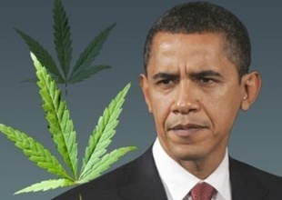 ObamaonMedicalMarijuana.jpg