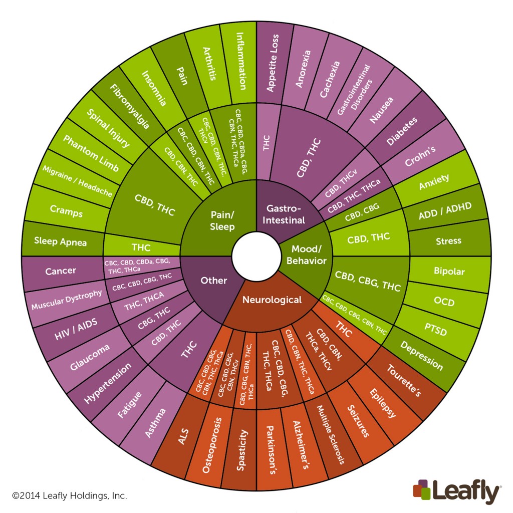 PLUe6NdETsirqg7Y9Hkf_Cannabinoid-Wheel-_Final_---English.jpg