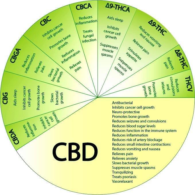cannabinoid-pie-chart.jpg