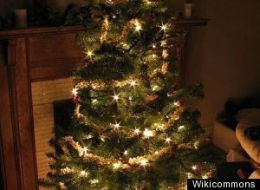 s-CHRISTMAS-TREE-large.jpg