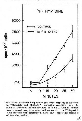 textfigure2.jpg