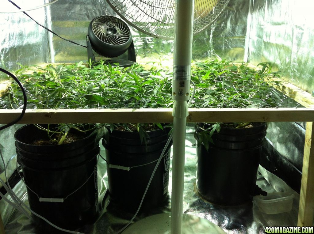 12-21-SCRoG.JPG