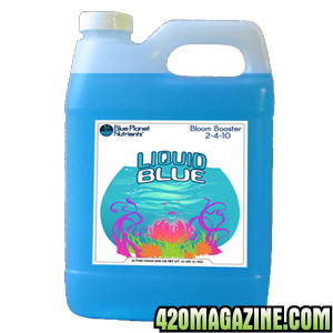 Liquid_Blue_new_quart.jpg