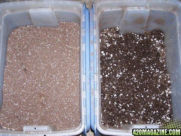 soil-less-mix-before-after.jpg