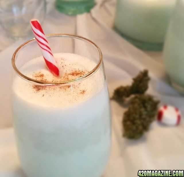 Nug-Nog_2.jpg