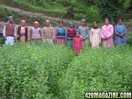 Himachal_women_farmers1.jpg