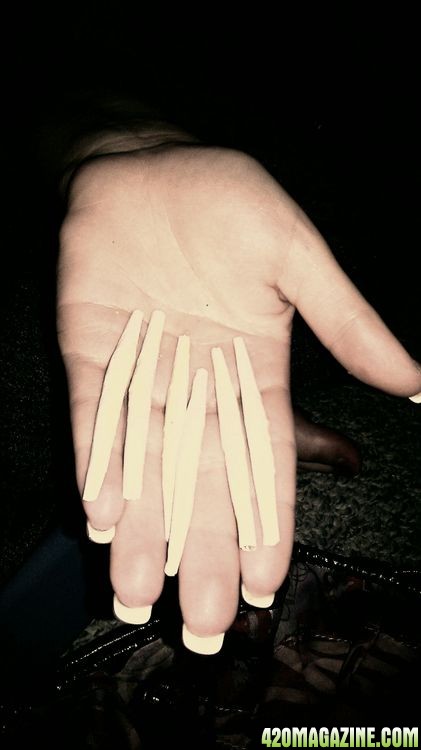 Joints_in_Hand1.jpg