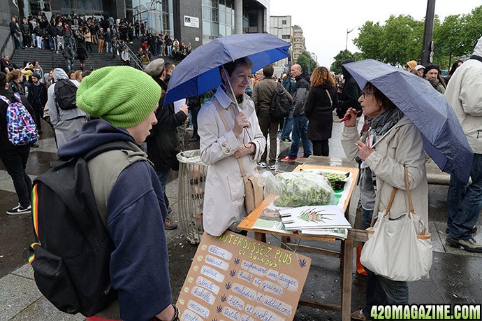 cannabis_fest.jpg