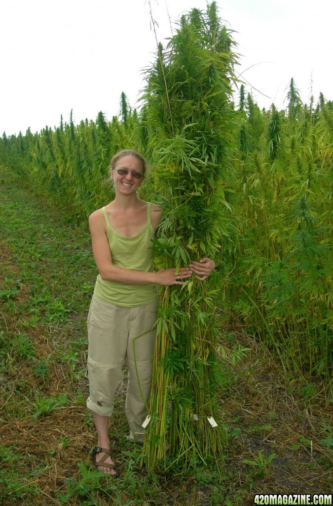 harvest_hemp1.jpg