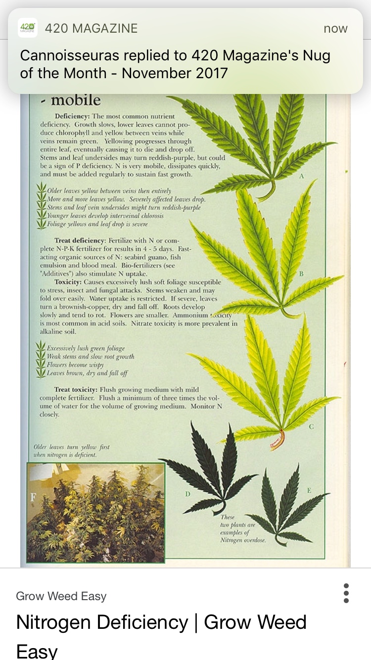 420-magazine-mobile1017554628.jpg